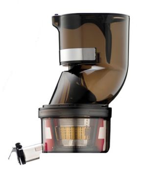 Testa intera per juice chef