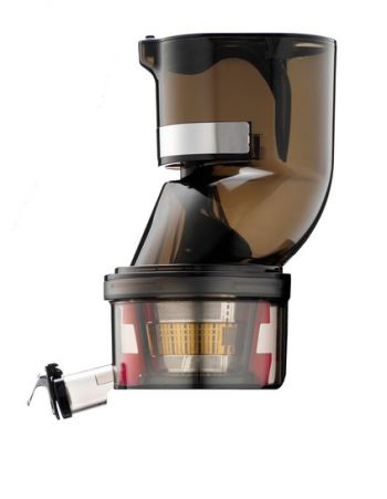 Testa intera per juice chef
