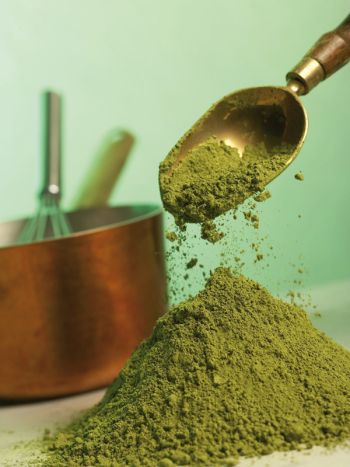 Tè Verde Matcha Green Breakfast Burlinghton in polvere sacchetto professionale 1 kg